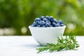 Fresh organic blueberry with water drops. Blueberries in a white bowl. Copy space