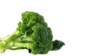 FRESH AND ORGANIC BROCCOLI TREE ISOLATED AGAINST WHITE BACKGROUN