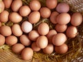 Fresh organic brown eggs Royalty Free Stock Photo