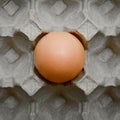 Fresh organic brown eggs in a carton package, protected paper grey egg box Royalty Free Stock Photo