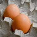 Fresh organic brown eggs in a carton package, protected paper grey egg box Royalty Free Stock Photo