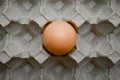 Fresh organic brown eggs in a carton package, protected paper grey egg box Royalty Free Stock Photo