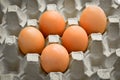 Fresh organic brown eggs in a carton package, protected paper grey egg box Royalty Free Stock Photo