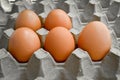 Fresh organic brown eggs in a carton package, protected paper grey egg box Royalty Free Stock Photo