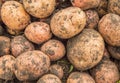 Fresh organic brown unpeeled potatoes at the fresh market, background. Potato texture, food background Royalty Free Stock Photo