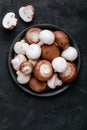 Fresh organic brown and white champignon mushrooms in bowl on dark stone background Royalty Free Stock Photo