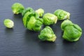 Fresh organic brussels sprouts on black background Royalty Free Stock Photo