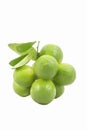 Fresh organic bunch limes isolated. Royalty Free Stock Photo