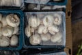 Fresh organic button mushroom in plastic beg from farm close up shot