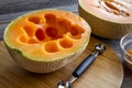 Fresh organic cantaloupe melon