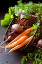 Fresh organic carrot and beet