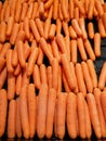 Fresh organic carrot, carrots are good for health