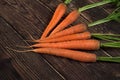 Fresh organic carrot roots on dark wooden board