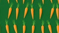 Fresh Organic Carrot Vegetable Horizontal Seamless Background.