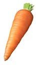 Fresh organic carrot on white background. Clipping path Royalty Free Stock Photo