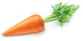 Fresh organic carrot on white background. Clipping path Royalty Free Stock Photo