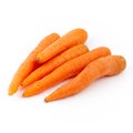 Fresh organic carrots