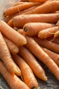 Fresh organic carrots Royalty Free Stock Photo