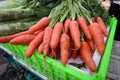 Fresh organic carrots in green plastic basket Royalty Free Stock Photo