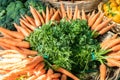 Fresh organic carrots for sale on farmers market Royalty Free Stock Photo