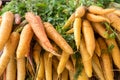 Fresh organic carrots for sale at a local market Royalty Free Stock Photo