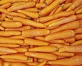 Fresh organic carrots for sale Royalty Free Stock Photo