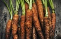Fresh organic carrots on woodbox Royalty Free Stock Photo