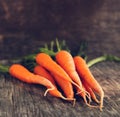 Fresh Organic Carrots Royalty Free Stock Photo
