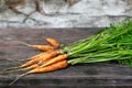 Fresh Organic Carrots on wooden background, selective focus