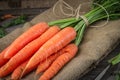 Fresh Organic Carrots on wooden vintage background