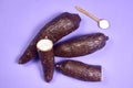 Fresh Organic Cassava Root, Manioc Esculenta, yuca On purple Background Royalty Free Stock Photo