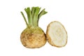 fresh organic celeriac celery root isolated on white background Royalty Free Stock Photo