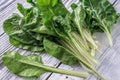 Fresh organic chard Royalty Free Stock Photo