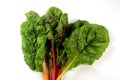 Fresh organic chard on a white background Royalty Free Stock Photo