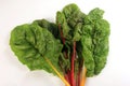Fresh organic chard on a white background Royalty Free Stock Photo