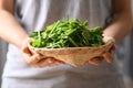 Fresh organic chayote shoot leaf in a basket holding by hand