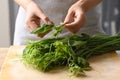 Fresh organic chayote shoot leaf prepare for cooking