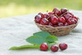 Fresh organic cherries Royalty Free Stock Photo