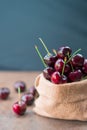 Fresh organic cherries in burlap sack Royalty Free Stock Photo