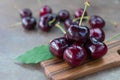 Fresh organic cherries on green leaf and wood tray Royalty Free Stock Photo