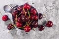 Fresh organic cherries from the home orchard Royalty Free Stock Photo