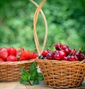 Fresh organic cherries and strawberries Royalty Free Stock Photo