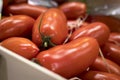 Fresh organic Cherry Tomatoes on Farmers Market in Catania. Sicily Royalty Free Stock Photo