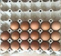 Fresh organic chicken eggs in grey paper egg tray Royalty Free Stock Photo