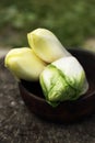 Fresh organic chicory vegetable