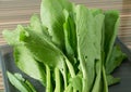Fresh Organic Chinese Cabbage on A Tray Royalty Free Stock Photo