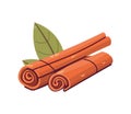 Fresh organic cinnamon for cooking