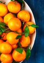 Fresh organic citrus mandarin oranges fruit tangerines, clementines with leaves in a light dish on a blue background