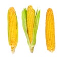 Fresh organic corn