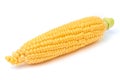 Fresh organic corn cob isolated on white background Royalty Free Stock Photo